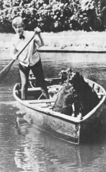 A young man and two dogs in a boat